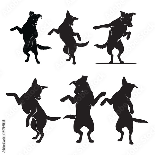 Set of dancing and jumping dog silhouettes standing on hind legs
