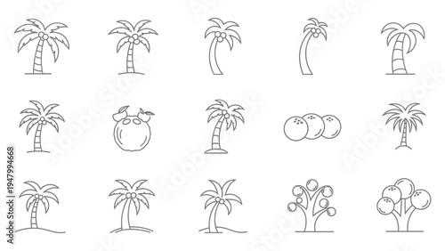 Coconut palm trees, ripe coconuts, tropical fruit icons set