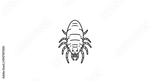 Illustration of a Louse insect, a small parasitic arthropod, in a simple line drawing style