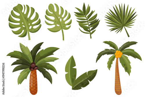 Flat vector illustration set of tropical leaves and palm trees. Exotic jungle plants isolated elements for summer beach design, travel themes and tropical decorations