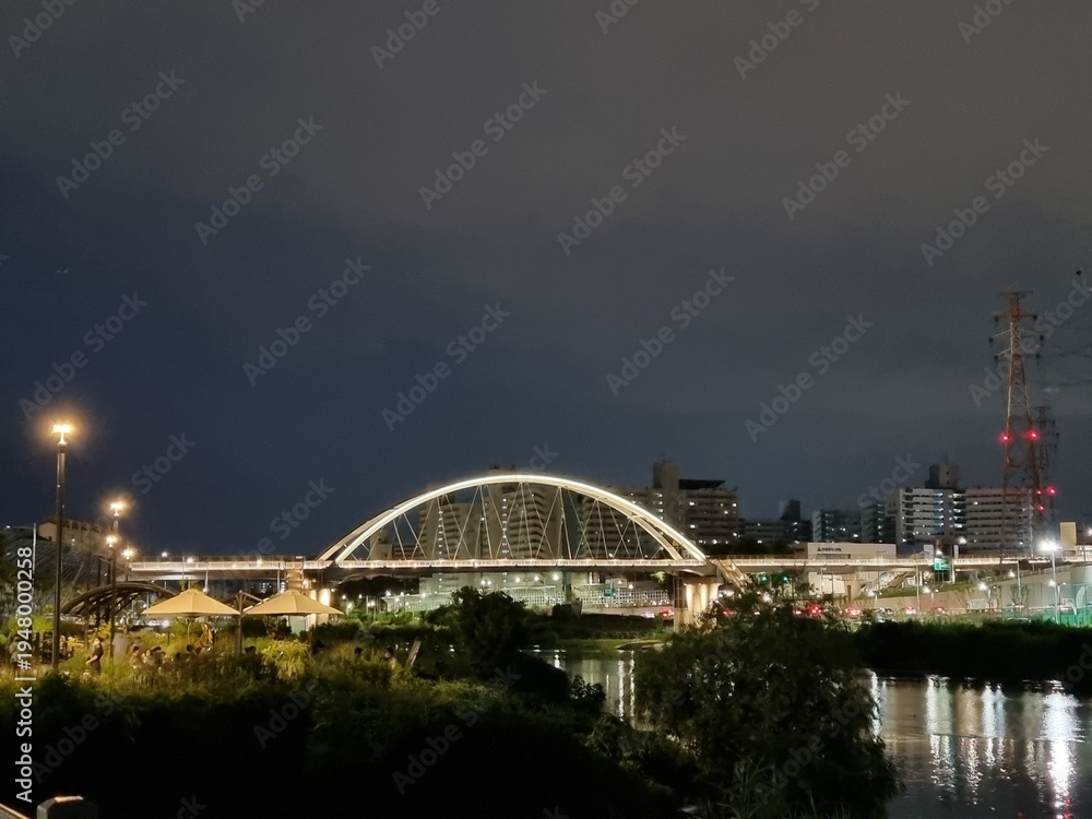 Fototapeta premium Modern illuminated arch bridge over a city river at night