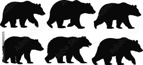 Bear silhouettes set, wild grizzly bear collection, forest wildlife mammal animals vector illustration pack