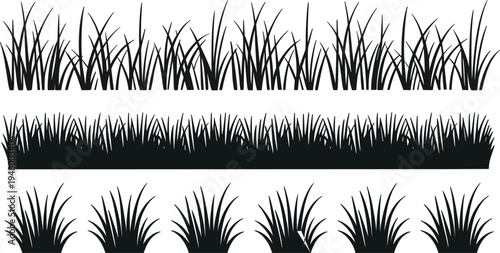 Grass silhouettes border set, wild meadow grass plants isolated nature landscape design elements collection