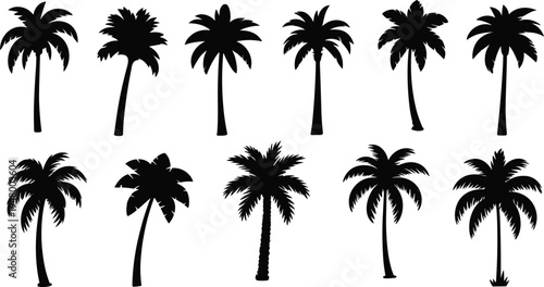 Palm tree silhouettes set, tropical coconut trees collection, beach island nature plants vector illustration