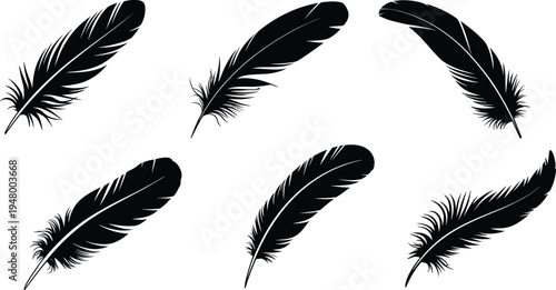 Set of feather silhouettes isolated collection of bird feathers decorative nature design vector illustration