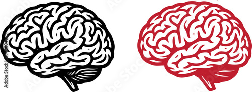 A comparative illustration showing two stylized human brains side by side in different styles