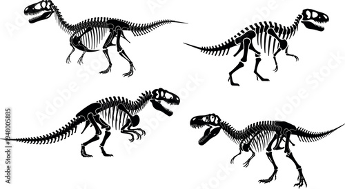 Four black dinosaur skeletons on white background