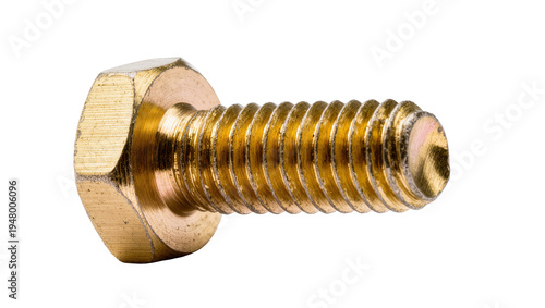 Принти на полотні Isolated shiny brass bolt with hexagonal head and threaded shaft for industrial