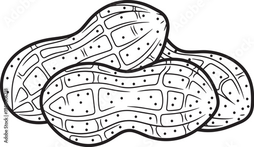 Set of 3 peanut icons vector