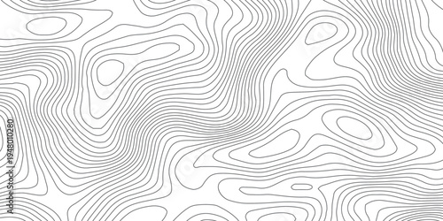Minimal White Topographic Contour Line Background with Light Gray Elevation Curves, Abstract Terrain Map Pattern and Modern Geographic Design Texture.