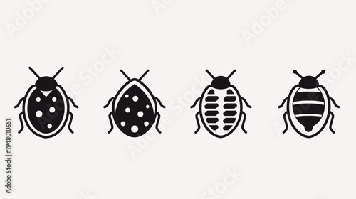 Four ladybug icons in black and white, each with unique shell patterns