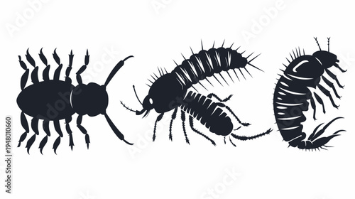 Silhouetted insects a spider-like creature, a spiky millipede, and a curved millipede