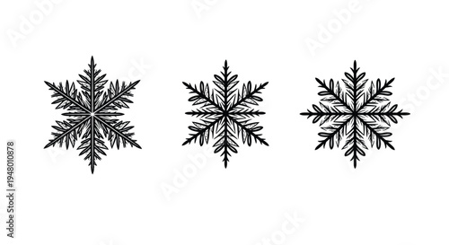Three black snowflakes on a pure for winter designs and decorations vector illustration