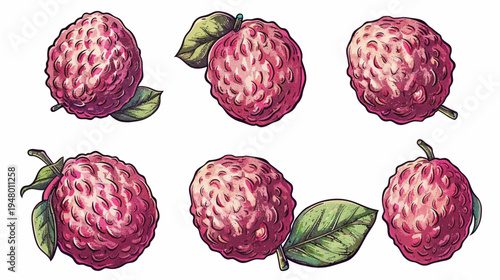 Digital illustration of six lychees on white, with pink-red bumpy skins and leafy stems