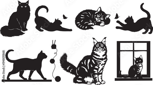 A collection of black cat silhouettes in various playful poses and activities on white background isolated on transparent background, Vector