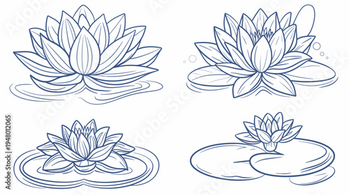 Four water lilies with stylized ripples, illustrated with blue outlines on white