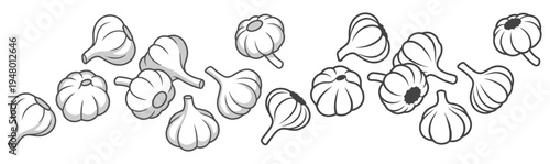 Garlic bulb sketch line art and fill style on transparent background