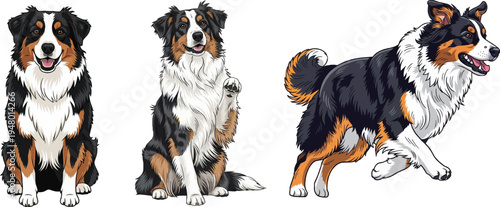 English Shepherd dog sitting paw raised running playful pose set