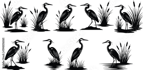 Heron, bird, silhouettes, wetland, wildlife, nature, water, marsh, standing, aquatic, habitat, avian, lake, reeds, illustration, animal, collection, design, elegant, concept