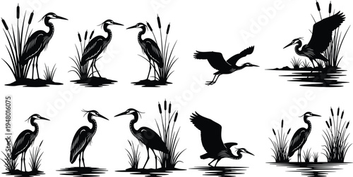 Heron, bird, silhouettes, wetland, wildlife, nature, water, marsh, flying, standing, aquatic, habitat, elegant, avian, illustration, animal, lake, reeds, collection, design