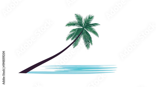 coconut trees on the beach