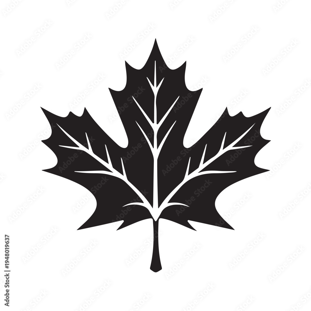 Fototapeta premium Maple leaf. Linear, silhouette isolated on white background. Vector illustration