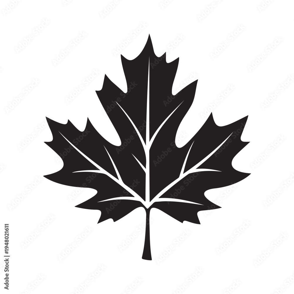 Fototapeta premium Maple leaf. Linear, silhouette isolated on white background. Vector illustration