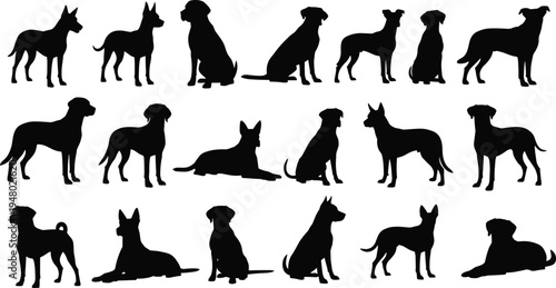 Black silhouettes of dogs in various poses dog silhouettes black dogs white background dog breeds standing dogs