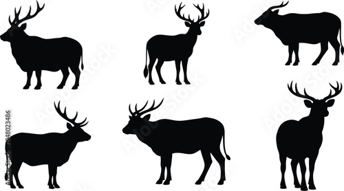 Silhouetted deer varieties with distinct antlers in monochromatic black