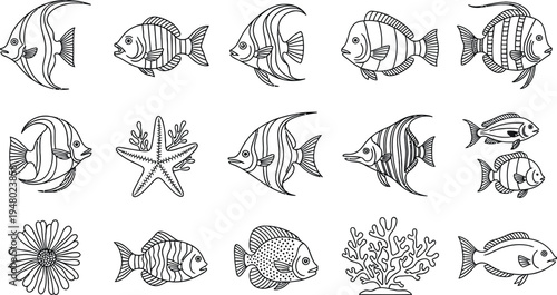 Line- drawn marine aquatic creatures and coral varieties collection angelfish