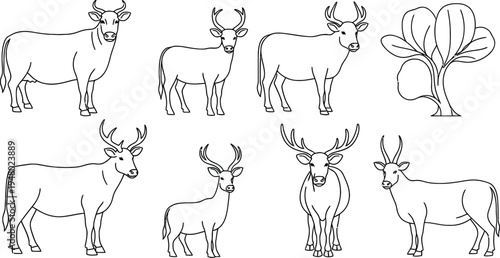 Line- drawn deer varieties with simple forest scenery antlers silhouettes