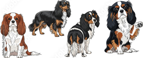 English Toy Spaniel dog standing rear view sitting paw raised pose set