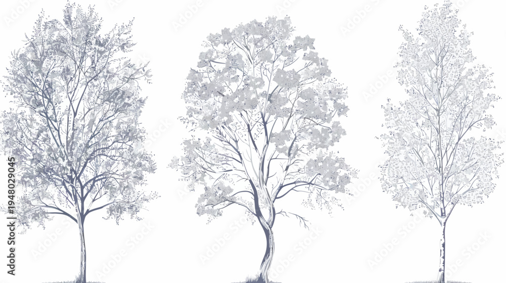 Fototapeta premium A grayscale illustration of three trees on a white background, featuring full foliage