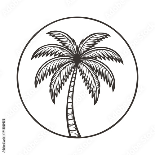 Logo agencia de viajes. Vacaciones de verano. Dibujo sencillo de la palma estilo grabado antiguo 