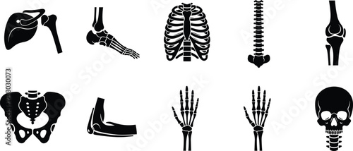 Human skeleton bones silhouette icons set anatomy medical collection illustration