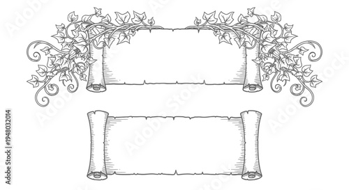 Hand drawn vintage parchment scrolls with ivy leaves