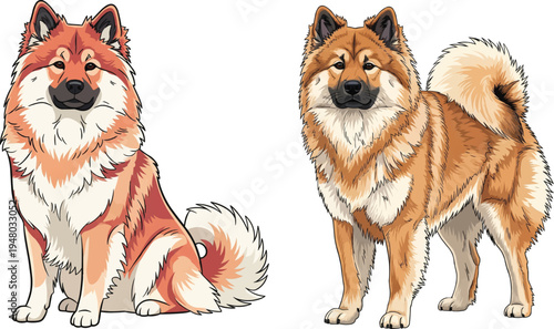 Eurasier dog sitting attentive standing facing front pose set