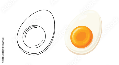 Simple vector graphic illustration of a boiled egg cut in half displaying both outline and color