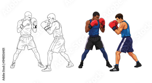 Dynamic vector illustration showcasing two male boxers in ready fighting stances and line art.