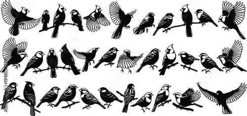 "Collection of detailed black and white bird silhouettes in various poses including flying, perching, and spreading wings, perfect for design, education, and ornithology projects"