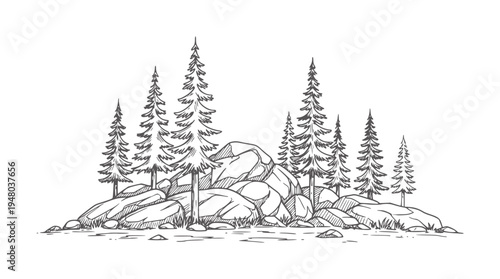 Hand drawn pine trees and rocks in a forest landscape nature