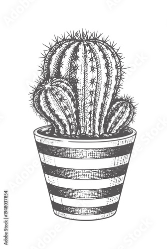 Vintage etched cactus in striped pot
