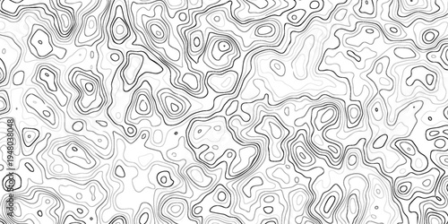 Abstract Topographic Line Pattern Background, Topographic map background. Geographic line map with elevation assignments. Contour background geographic grid. Eps10