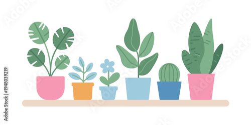 Colorful potted plants on a wooden shelf indoor setting