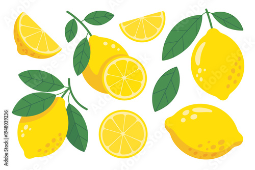 Lemons and lemon slices with green leaves on white background