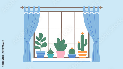 Colorful potted plants on a window sill with blue curtains  indoor gardening