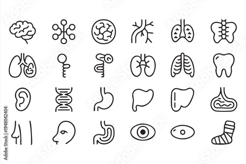 Medical anatomy outline icon collection with human organs skeleton tooth ear and eye