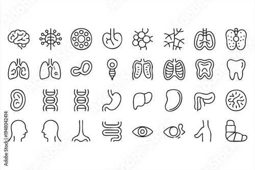 Human anatomy medical line icons set with brain lungs heart stomach DNA and organs symbols