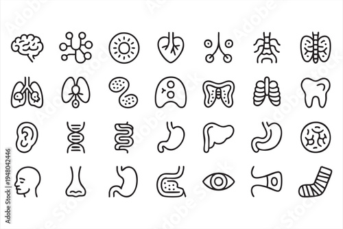 Human body anatomy icon set with internal organs skeleton brain lungs and stomach symbols
