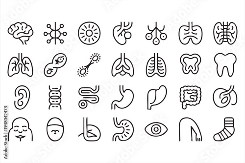 Human anatomy medical line icons set with brain lungs heart stomach liver DNA and organ symbols